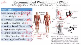 NIOSH Lifting Equation Explained [upl. by Aryan]