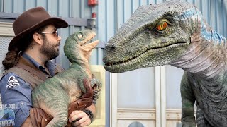 Jurassic World Raptor Experience Universal Studios [upl. by Ronile181]