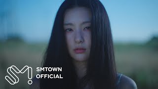 SEULGI 슬기 28 Reasons MV [upl. by Cadmar158]