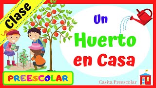 UN HUERTO EN CASA Aprendeencasa PREESCOLAR [upl. by Eila]