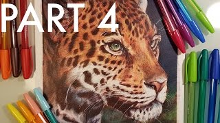 Ballpoint Pen Art Creating a Drawing [upl. by Imekawulo534]