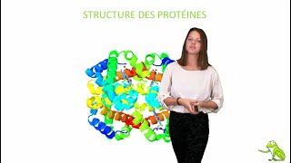 Structure des protéines [upl. by Timoteo]