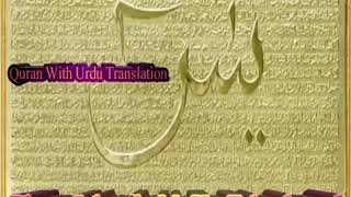 Surah Yaseen With Full Urdu TarjumaTranslationQari Abdul BasitMisharyAbdul Rahman Al Sudais [upl. by Acirema565]