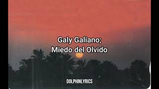 Galy Galiano  Miedo del Olvido DolphinLyrics  Letra [upl. by Palmore66]