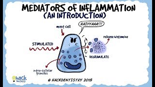 Inflammatory Bowel Disease  CRASH Medical Review Series [upl. by Akoyin285]