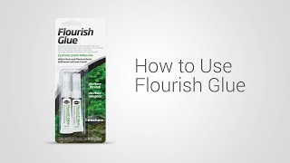 Using Flourish Glue [upl. by Assenov896]