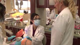 Dental Assistant Training  Learn More  Concorde Career College [upl. by Gard309]