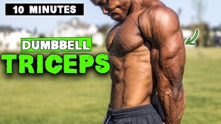 10 MINUTE LIGHTWEIGHT DUMBBELL TRICEP WORKOUT [upl. by Kos]