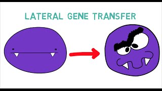 Antibiotic Resistance amp Lateral Gene Transfer LGT 20 [upl. by Maible]