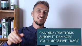 Candida Infection Symptoms amp How It Damages Your Digestive Tract [upl. by Kuska395]