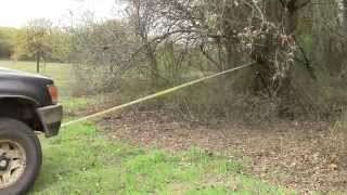 How to clear Brush and Undergrowth [upl. by Clift]