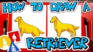 How To Draw A Golden Retriever [upl. by Beore]