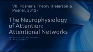 Neurophysiology of Attention Attention Networks [upl. by Shea352]