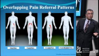 Top 3 Home Heel Pain Remedies [upl. by Rogovy]