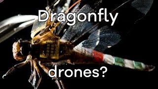 Dragonfly Secret Key to Electric Ornithopters [upl. by Riancho]