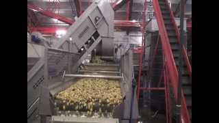 Washing amp Destoning by Tummers Food Processing Solutions [upl. by Adria]