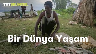 Bir Dünya Yaşam  Afrikada Balıkçılık  TRT Belgesel [upl. by Erastes]