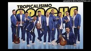 TROPICALISIMO APACHE Cumbias [upl. by Caron]