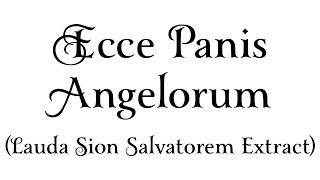 Ecce Panis Angelorum Lauda Sion Salvatorem Extract [upl. by Bobbie240]