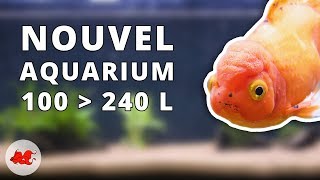 Nouvel aquarium pour poisson rouge [upl. by Imar115]