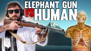 Elephant Gun Vs Human [upl. by Jenni]