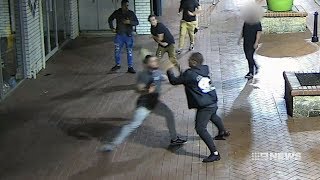 Mandurah Assault  9 News Perth [upl. by Orv]