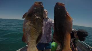 Spearfishing at 40 Mile beach  Karratha [upl. by Roosevelt]