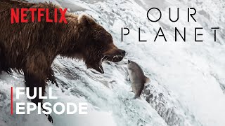 Our Planet  Fresh Water  FULL EPISODE  Netflix [upl. by Corrine]