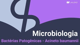 Microbiologia Bactérias Patogênicas  Acineto baumannii [upl. by Yumuk]