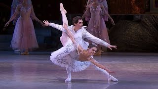 Grand Pas de Deux  Adagio  NUTCRACKER Tchaikovsky  National Opera of Ukraine [upl. by Fraser270]