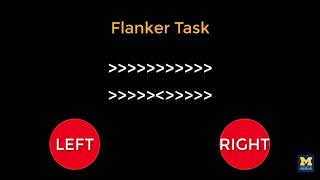 AFNI Tutorial 2 The Flanker Task [upl. by Damicke]