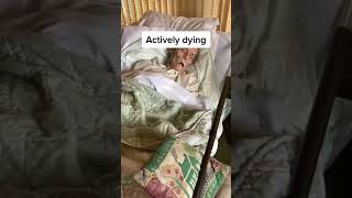 Video of Actively dying [upl. by Salas]