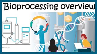 Bioprocessing overview Upstream and downstream process [upl. by Remle852]