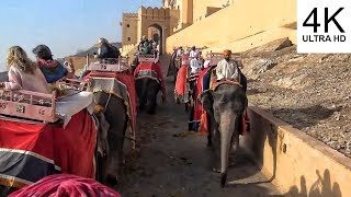 Amber Fort Elephant Ride  Jaipur  India 4K [upl. by Airpac553]