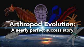 Arthropod Evolution A nearly perfect success story [upl. by Nehte]