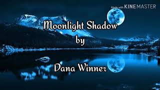 Moonlight Shadow by Dana Winnerwith lyrics [upl. by Schlosser]