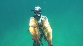 Karratha spearfishing [upl. by Charo51]