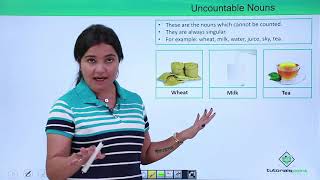 English Grammar  Countable and Uncountable Nouns [upl. by Yttiy]