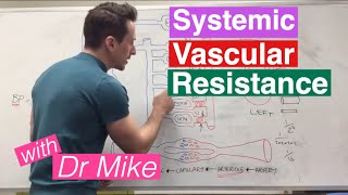 Systemic Vascular Resistance Total Peripheral Resistance  Cardiology [upl. by Dara628]