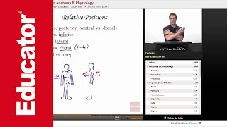 Introduction to Anatomy and Physiology [upl. by Aisorbma]