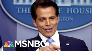 Anthony Scaramucci’s ProfanityLaced Rant Was Last Straw for White House Staff  MSNBC [upl. by Ennalyrehc697]