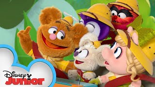 Backyard Safari  Muppet Babies  disneyjr [upl. by Cioffred]