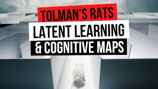 PSYCH TOLMANS RATS LATENT LEARNING amp COGNITIVE MAPS [upl. by Ennagrom636]