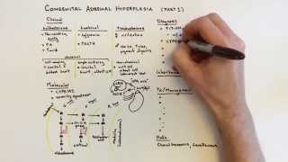 Congenital Adrenal Hyperplasia CAH  1 of 2 [upl. by Ardna]