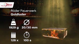 Röder Feuerwerk  Verbundfeuerwerk Goldluder [upl. by Maleen387]