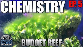 CHEMISTRY in a Budget Reef Tank  Nitrates Phosphates amp Alkalinity [upl. by Fachanan]