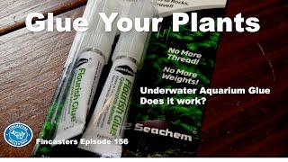 Flourish Glue for Plants Fincasters Episode 156 [upl. by Grubb]