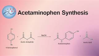 Acetaminophen Synthesis Mechanism  Organic Chemistry [upl. by Jeannie]