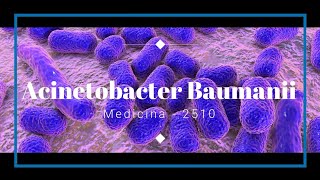 Acinetobacter Baumanii  Factores de patogenicidad y virulencia [upl. by Katonah]