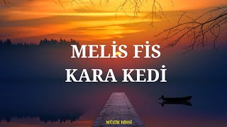 Melis Fis  Kara Kedi SözleriLyrics [upl. by Christy721]